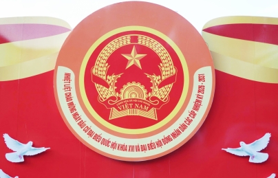 Phố phường Hải Châu rực rỡ cờ hoa chào mừng Ngày hội non sông Phố phường Hải Châu rực rỡ cờ hoa chào mừng Ngày hội non sông