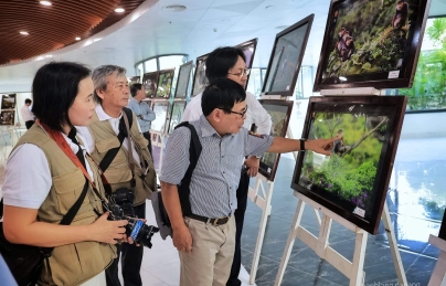 Đồng hành cùng DIFF-2023: Quận Hải Châu tổ chức khai mạc triển lãm ảnh với chủ đề “Sông Lam – Sông Hàn, Cuộc hội ngộ sắc màu” 