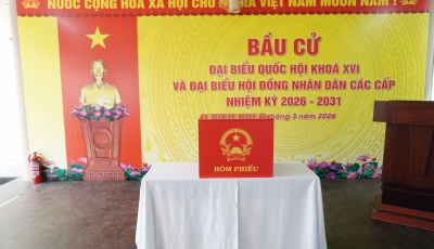 Phường Hải Châu sẵn sàng cho Ngày hội non sông!