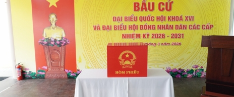 Phường Hải Châu sẵn sàng cho Ngày hội non sông!